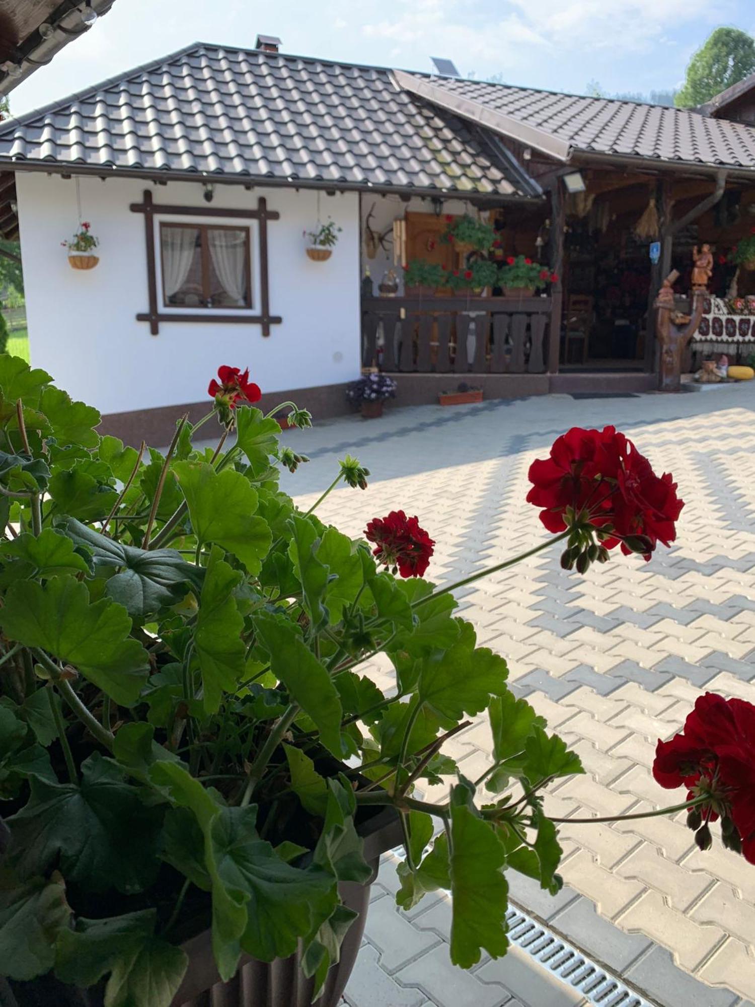 Casa De Pe Sadová